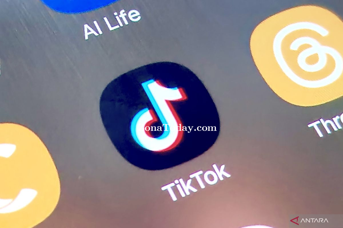 zona-today-tiktok-matika-live_jp.jpg