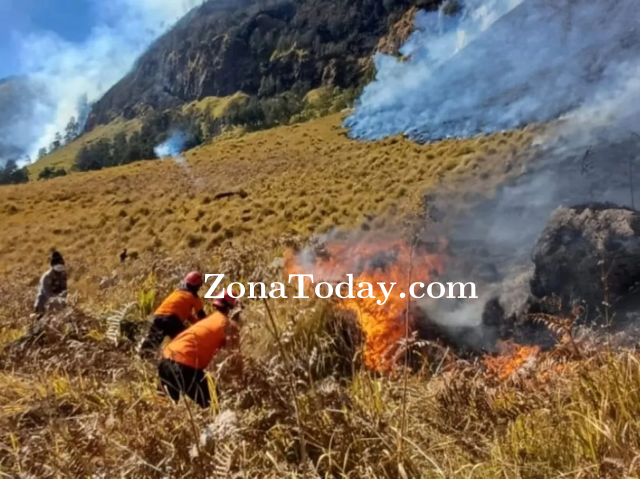 zona-today-jalur-malang-lumajang-ditutup.png