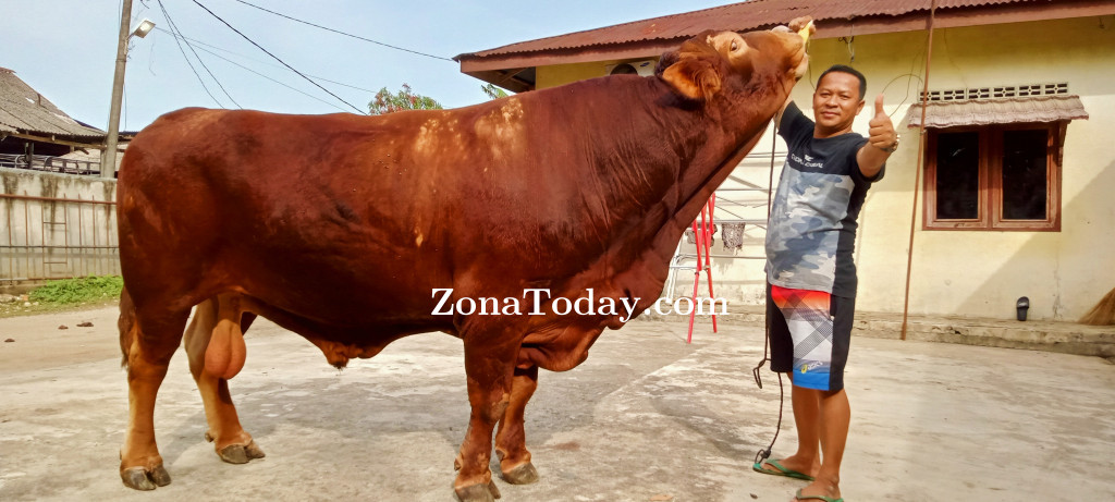 zona-today-sapiprabowo-2311411074.jpg
